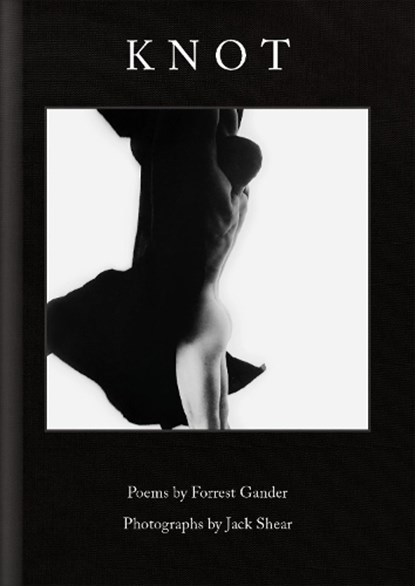 Knot, Forrest Gander - Gebonden - 9781556596711