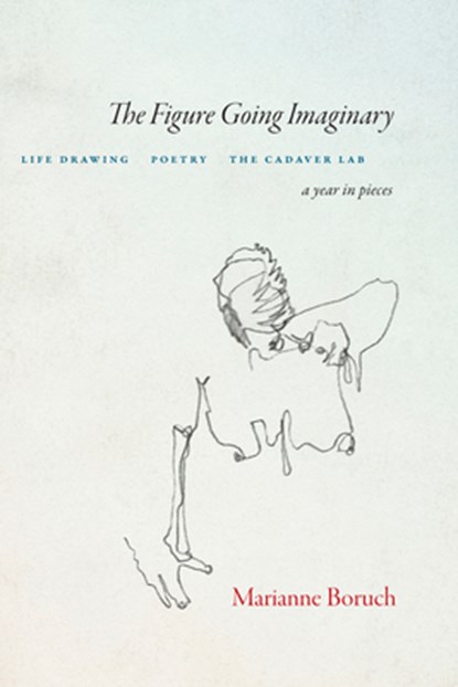 The Figure Going Imaginary, Marianne Boruch - Paperback - 9781556596940