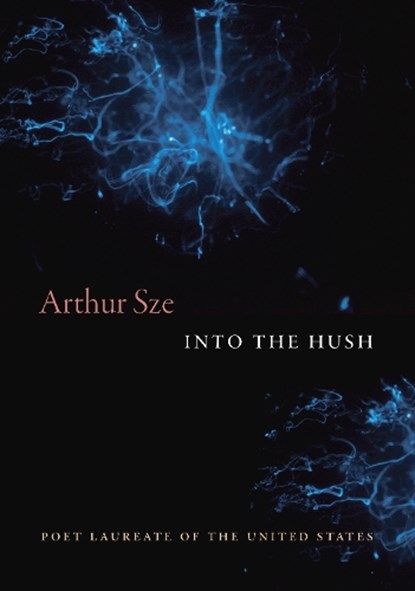Into the Hush, Arthur Sze - Paperback - 9781556597145