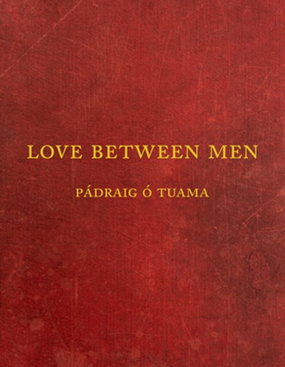 Love Between Men, Pádraig Ó. Tuama - Paperback - 9781556597152
