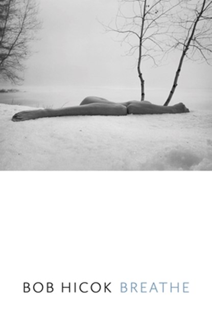 Breathe, Bob Hicok - Paperback - 9781556597305