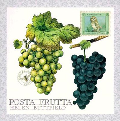 Posta Frutta - Postcard Book, BUTTFIELD,  Helen - Overig - 9781556709975