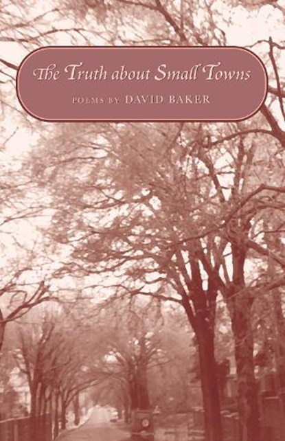 The Truth about Small Towns, David Baker - Paperback - 9781557285171