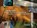 Full Steam Ahead, John Norberg - Gebonden - 9781557536884