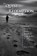 The Quest for Redemption, Rares Piloiu - Paperback - 9781557538307