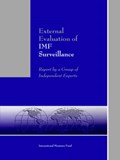 External Evaluation Of The If Surveillance: Report By Grp Ind Exp (Eeisea0000000) | auteur onbekend | 
