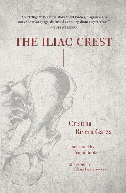 The Iliac Crest, Cristina Rivera-Garza - Paperback - 9781558614352