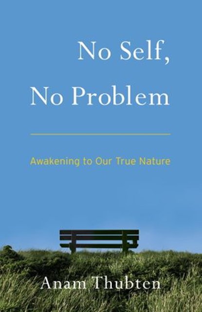 No Self, No Problem, Anam Thubten - Ebook - 9781559399210