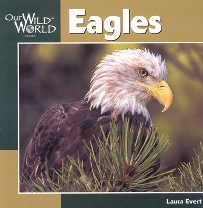 Eagles, EVERT,  Laura - Paperback - 9781559717779