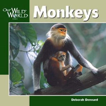 Monkeys, DENNARD,  Deborah - Gebonden - 9781559718509