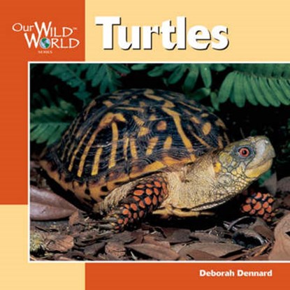 Turtles, DENNARD,  Deborah - Gebonden - 9781559718622