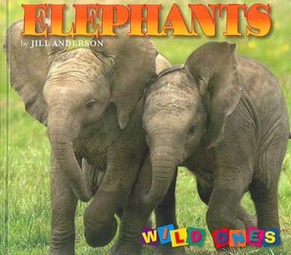 Elephants, ANDERSON,  Jill - Gebonden - 9781559719506