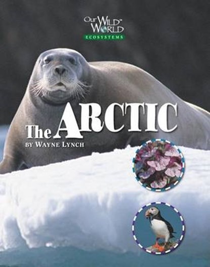 Arctic, LYNCH,  Wayne - Gebonden - 9781559719605