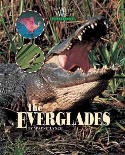 Everglades, LYNCH,  Wayne - Gebonden - 9781559719704