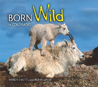 Born Wild in Colorado, Wendy Shattil - Paperback - 9781560374121