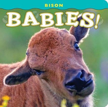 Bison Babies!, Donald M. Jones - Gebonden - 9781560375173
