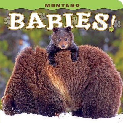 Montana Babies!, Steph Lehmann - Gebonden - 9781560376798