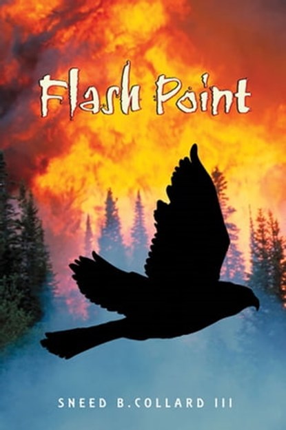 Flash Point, Sneed B. Collard III - Ebook - 9781561456079