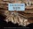A Place for Bats, Melissa Stewart - Gebonden - 9781561457625