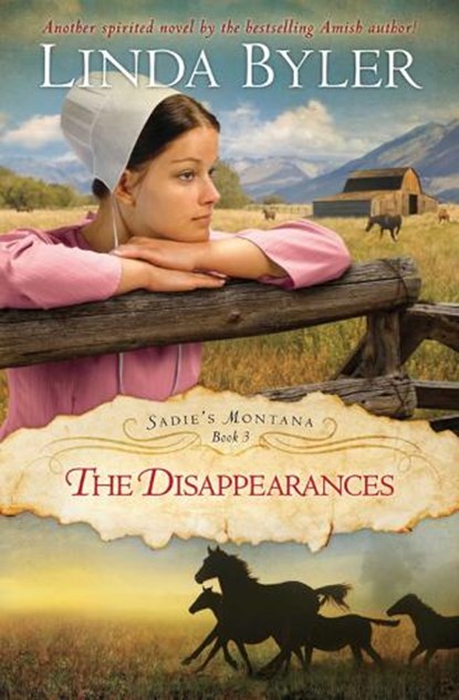 Disappearances: Another Spirited Novel by the Bestselling Amish Author!, Linda Byler - Paperback - 9781561487752