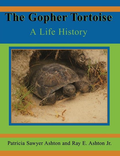 The Gopher Tortoise, Ray E Ashton - Paperback - 9781561643011
