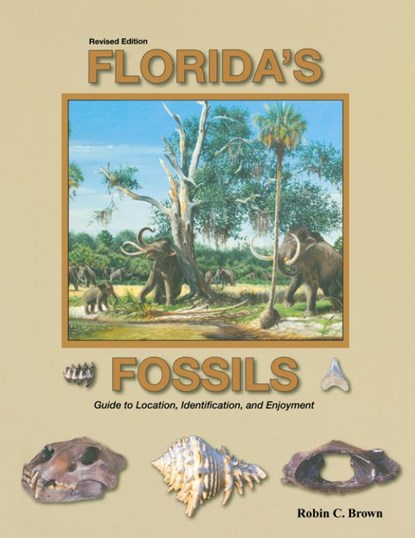 Florida's Fossils, Robin C. Brown - Paperback - 9781561645718
