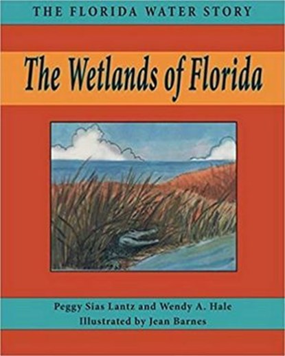 Wetlands of Florida, Peggy Sias Lantz ; Wendy A Hale - Ebook - 9781561648139