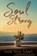 Soul Strong, Lucinda Secrest McDowell - Paperback - 9781563093272
