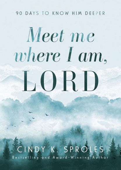 Meet Me Where I Am, Lord, Cindy K Sproles - Paperback - 9781563096150