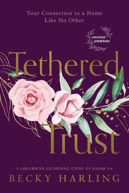 Tethered Trust, Becky Harling - Paperback - 9781563096822