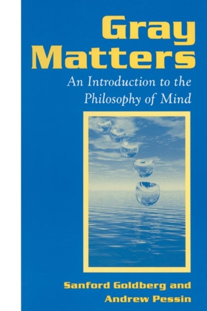 Gray Matters, Sanford Goldberg ; Andrew Pessin - Paperback - 9781563248849
