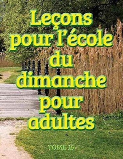 Lecons d'ecole du dimanche des adultes - Volume 15, Ministères Disciple Mésoamérique - Paperback - 9781563448225