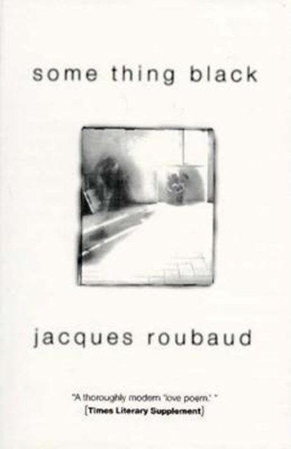 Some Thing Black, Jacques Roubaud - Paperback - 9781564782069
