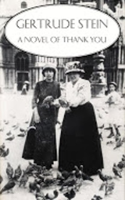 Novel of Thank You, Ms Gertrude Stein - Paperback - 9781564783622