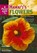A Pocket Guide to Hawaii's Flowers, PEEBLES,  Douglas - Paperback - 9781566471497