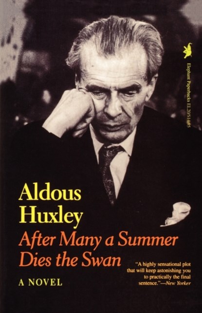 After Many a Summer Dies the Swan, Aldous Huxley - Paperback - 9781566630184