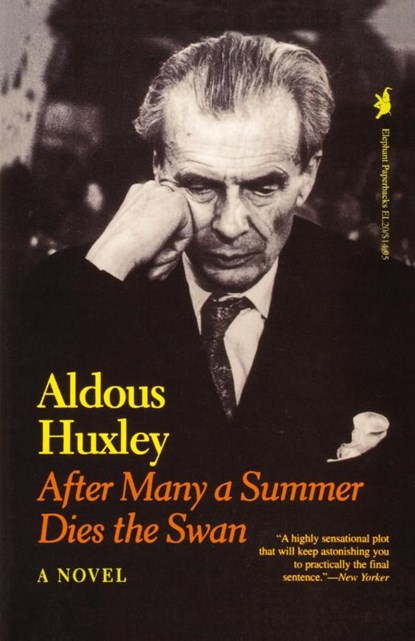 After Many a Summer Dies the Swan, Aldous Huxley - Paperback - 9781566630184