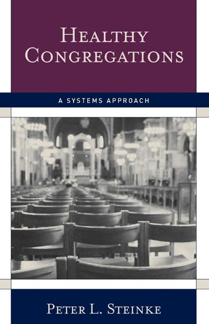 Healthy Congregations, Peter L. Steinke - Paperback - 9781566993302