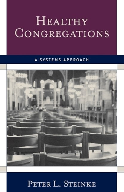 Healthy Congregations, Peter L. Steinke - Paperback - 9781566993302