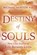 Destiny of Souls, Michael Newton - Paperback - 9781567184990