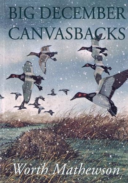 Big December Canvasbacks, Revised, Worth Mathewson - Paperback - 9781568331539