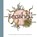 Seashell, Amy Sky Koster - Gebonden - 9781568463544