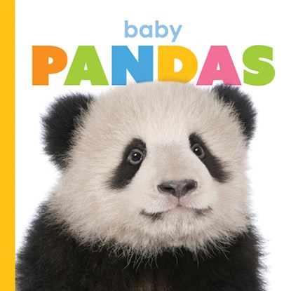Baby Pandas, Kate Riggs - Gebonden - 9781568464534