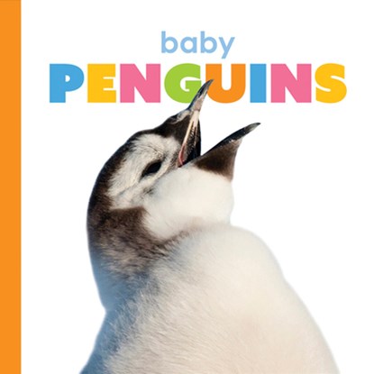 Baby Penguins, Kate Riggs - Gebonden - 9781568464558