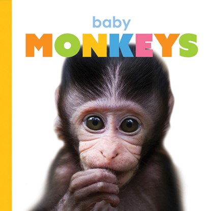 Baby Monkeys, Kate Riggs - Gebonden - 9781568464572