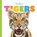 Baby Tigers, Kate Riggs - Gebonden - 9781568464596