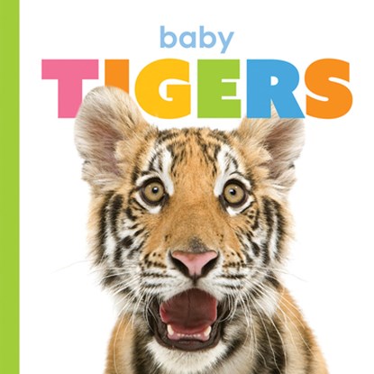 Baby Tigers, Kate Riggs - Gebonden - 9781568464596