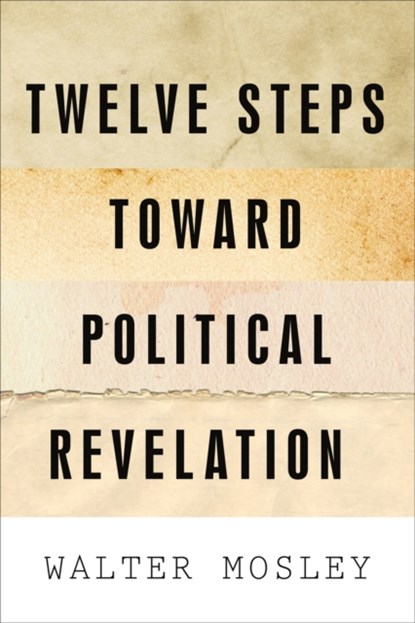 Twelve Steps Toward Political Revelation, Walter Mosley - Paperback - 9781568586427