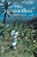 Two Strange Tales, Mircea Eliade - Paperback - 9781570626630