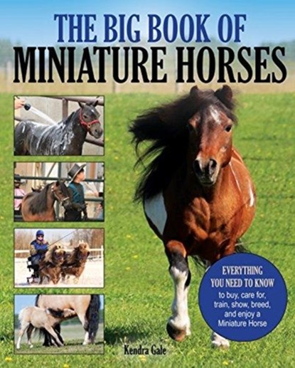 The Big Book of Miniature Horses, Kendra Gale - Paperback - 9781570768200